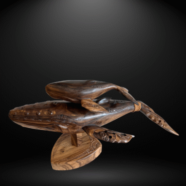 Baleine et baleineau